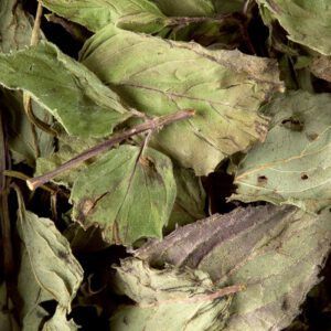 Infusion - Tisane Menthe Poivrée 500g