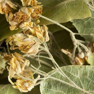 Infusion - Tisane Tilleul 500g